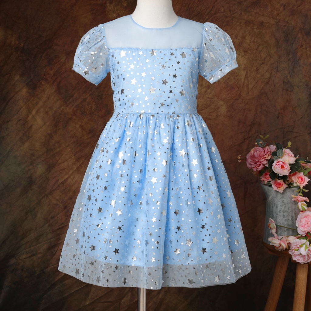 Kid Girl Bow Back Sequin Stars Decor Mesh Overlay Fairy Dress
