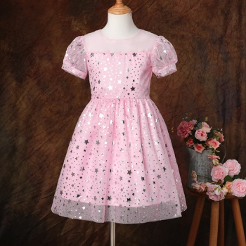 Kid Girl Bow Back Sequin Stars Decor Mesh Overlay Fairy Dress