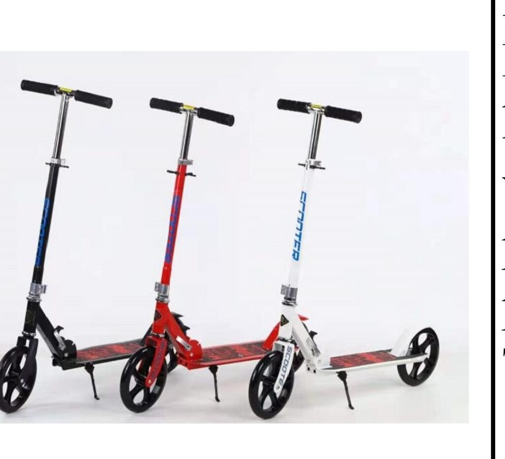 Kids Scooter SK101