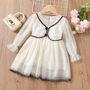 Toddler Girl Faux Layered Lace and Mesh Design Fairy Dress