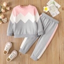 2pcs Toddler Girl Trendy Colorblock Sweatshirt and Elasticized Pants Set