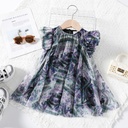Todler Girl Fashionable Gradient Mesh Ruffled Dress