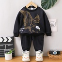 2pcs Toddler Boy Playful Eagle Print Sweatshirt and Black Pants Set (6nb30-20550237)